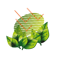 植物保护剂